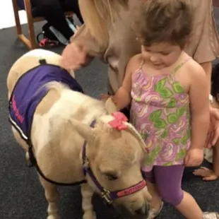 Butterball the therapy horse came to visit all our friends!