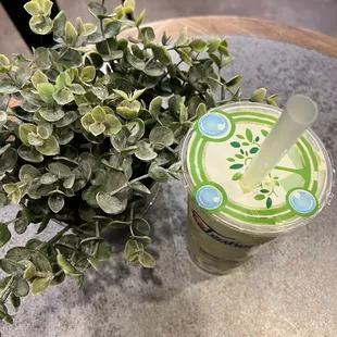 a plant on a table