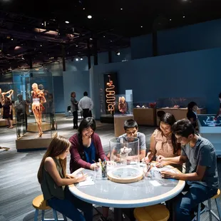 Body Worlds Decoded exhibit, where one can view real life plastinates, a virtual dissection table, augmented reality, and an art corner.