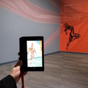 virtual displays with handheld