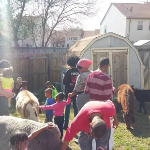 Had the beautiful  animals  for a birthday party  and it turned out amazing!  I recommend this  business  to anyone!