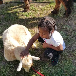 Wonderfully  tamed  animals, the kids  fell in love with  them!