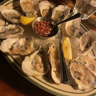 oysters