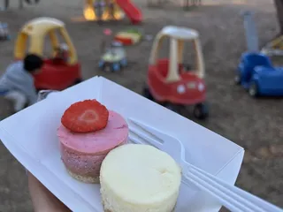 The Celia Jacobs Cheesecake Experience