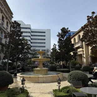 Terrace fountain views on a beautiful Sunday morning.