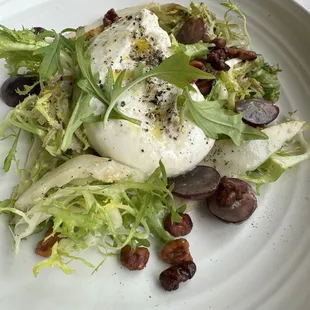 Puglian Burrata Salad