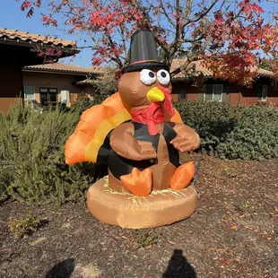 Always fun, seasonal decorations. Today is?