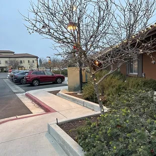 Beginning to look a lot like..