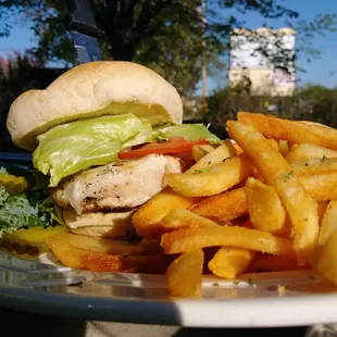 Grilled Chicken Sandwich