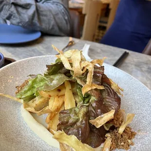 Root Salad