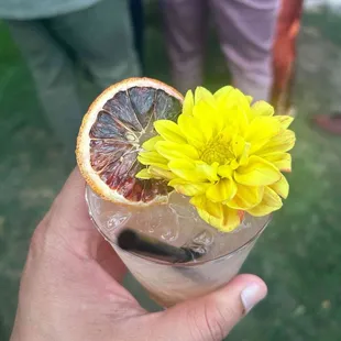 Blood orange mule (so good)