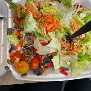 Lizard salad with Tri Tip