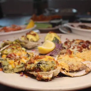 Oysters