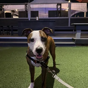 Outdoor seating area