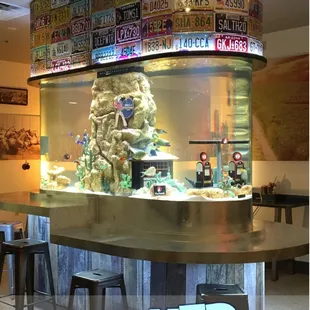 Meet our 720 gallon aquarium...we mean TANK!