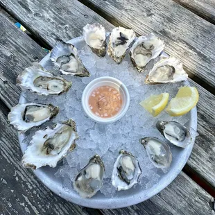 The Tidal Boar Foods: Shuck Truck