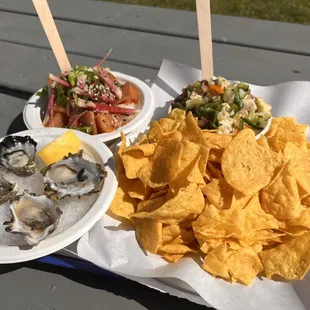  a platter of oysters, chips, and a salad