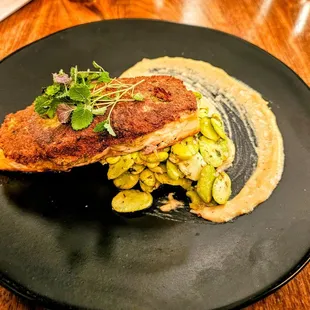 Falafel crusted salmon with fava beans.  The salmon was barely seasoned but the fava beans were delicious.