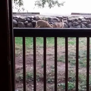 This is right outside our door.