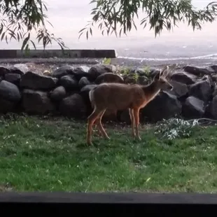 This is right outside our door.