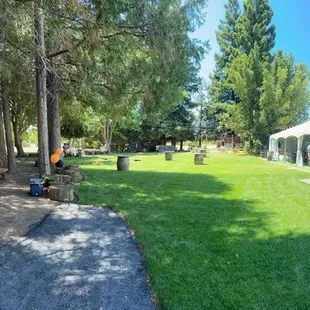 The Timber's at Silveyville