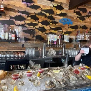 a man standing behind a bar filled with oysters