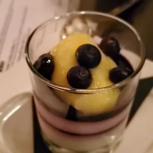 Blue berry Panna cota