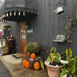 Late October at The Tin Trout