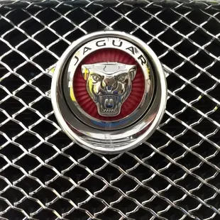 We work on all types of vehicles!