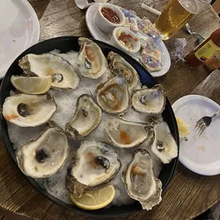 Oysters, boudin grilled cheese Shrimp and pork belly pasta