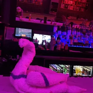 a dog sitting on a towel in front of a bar