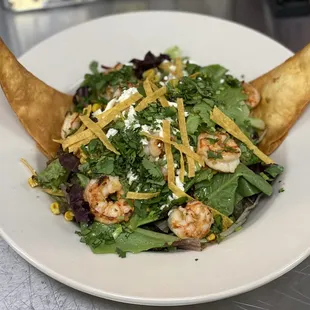 Shrimp  Cilantro Salad