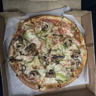 Pizza with mushrooms, onions, pepper