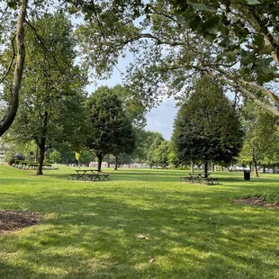 The Topiary Park