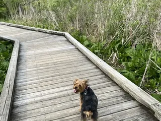 Dublin Kiwanis Riverway Park