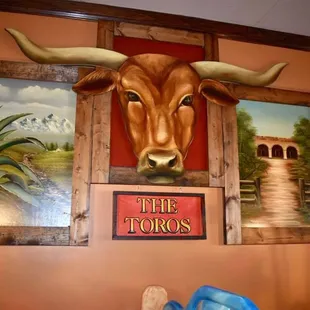 Welcome to The Toros!