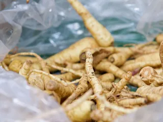 Youth Science Institute