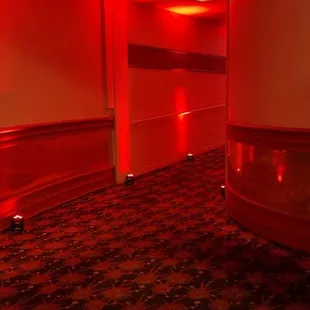 Cool lights for private event