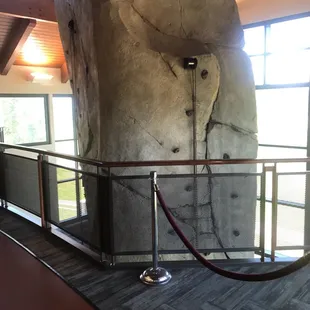 Indoor climbing station