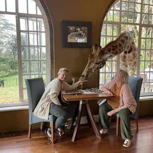 Giraffe Manor