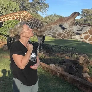Kisses at Giraffe Manor