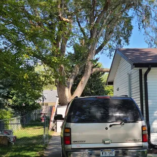 Only took one piece.