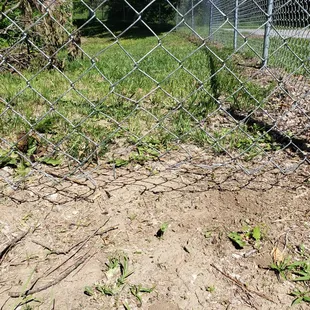 damaged fence