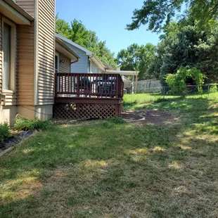 Lilac bush gone, hedges gone