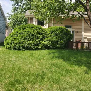 Front of house before