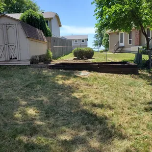 Locust tree gone, over-growth gone