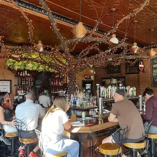 people sitting at the bar