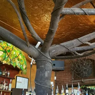 tree on the center of the bar