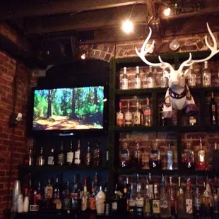 a deer head mounted on a brick wall
