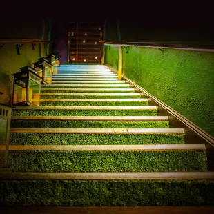 The entrance to The Treehouse!